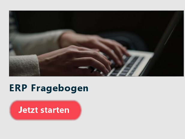 ERP Fragebogen